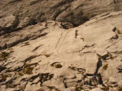 2013-10-08_Guffert (083)b.JPG